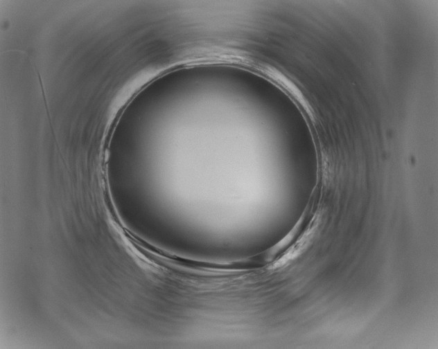 X0000071961485200607141422