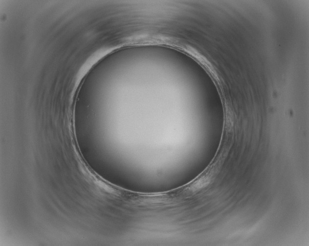 X0000071961486200607141422