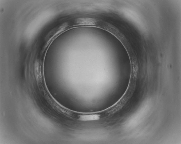 X0000071961487200607141422