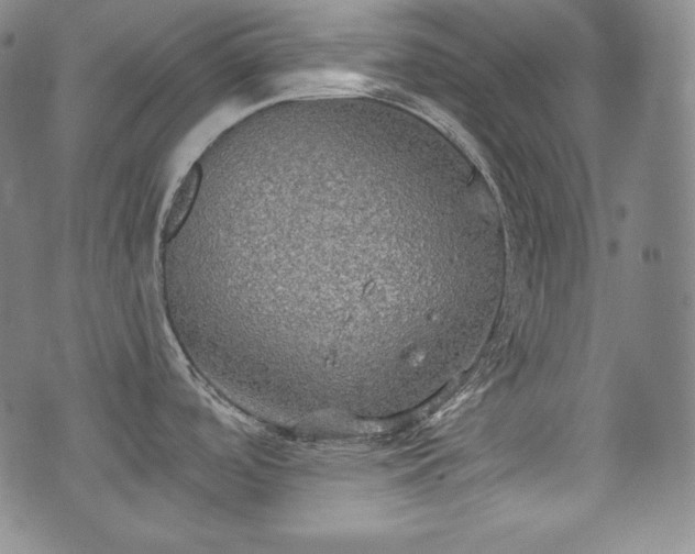 X0000071961488200607141422