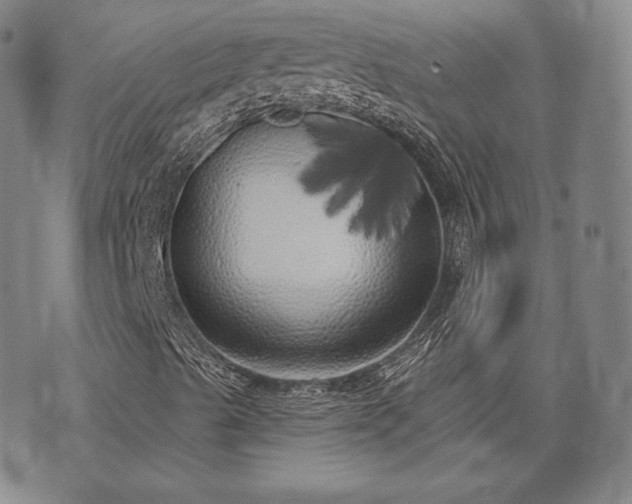 X0000071961489200607141421