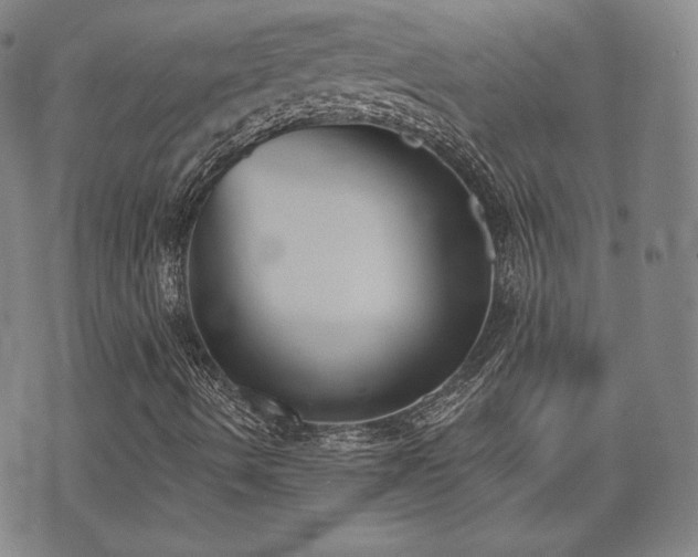 X0000071961490200607141421