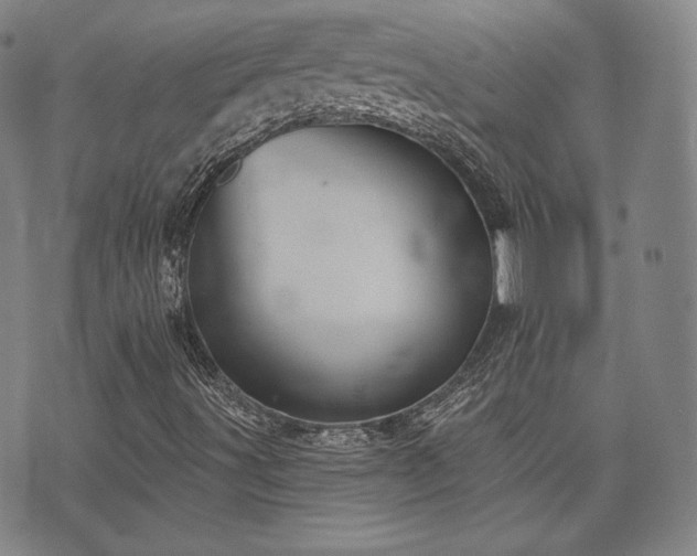 X0000071961491200607141421