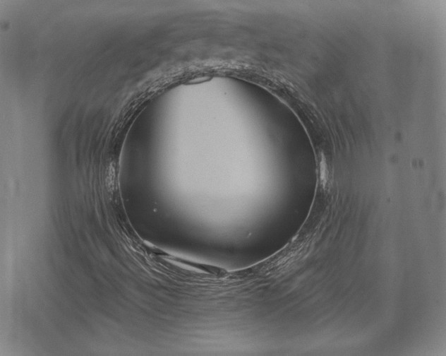 X0000071961492200607141421