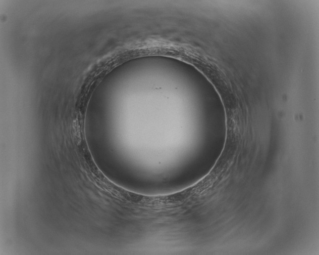 X0000071961493200607141421