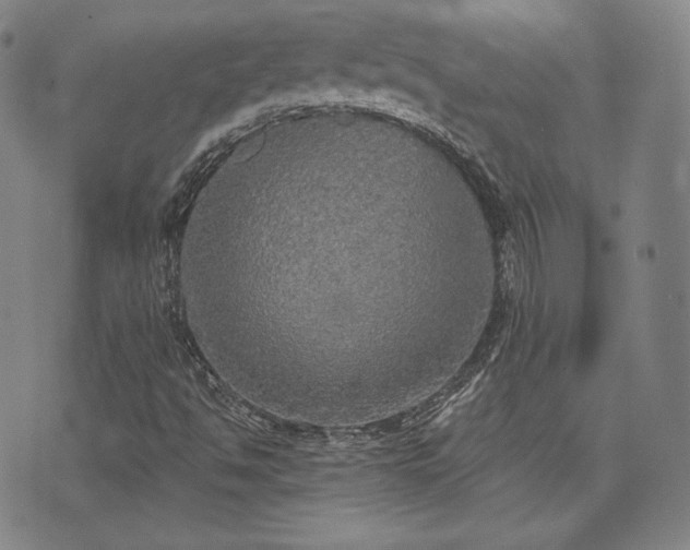 X0000071961494200607141421