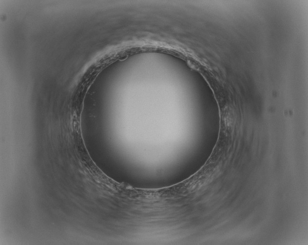 X0000071961495200607141421