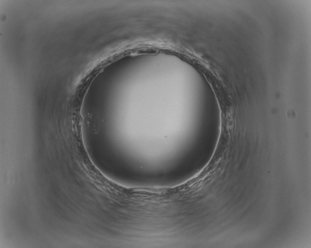 X0000071961496200607141421