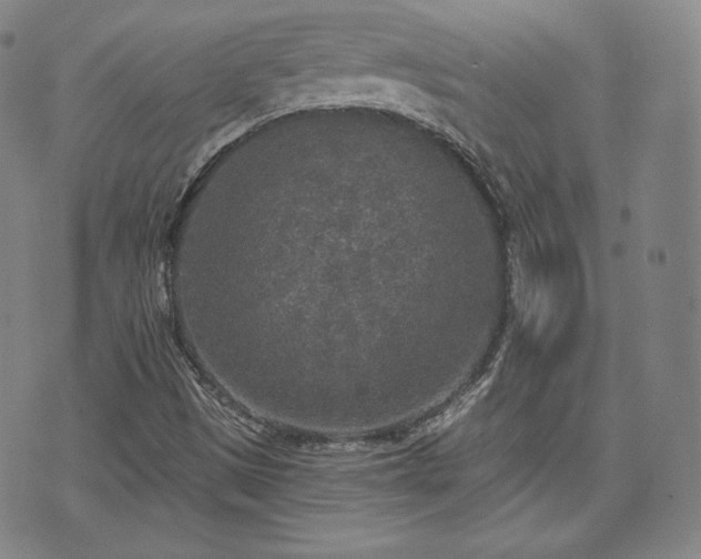 X0000071961497200607141421