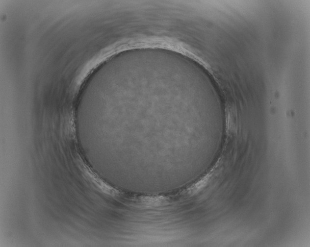 X0000071961498200607141421