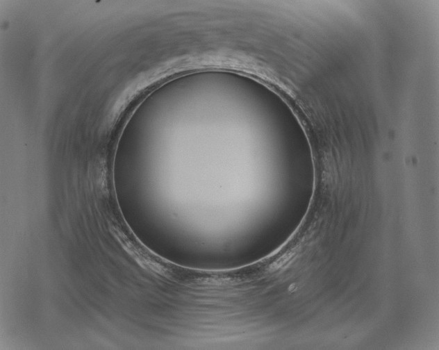 X0000071961499200607141421