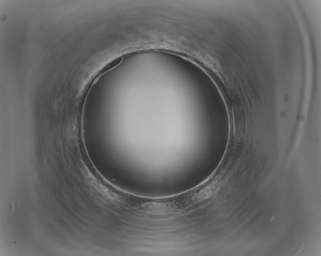 X0000071961500200607141421