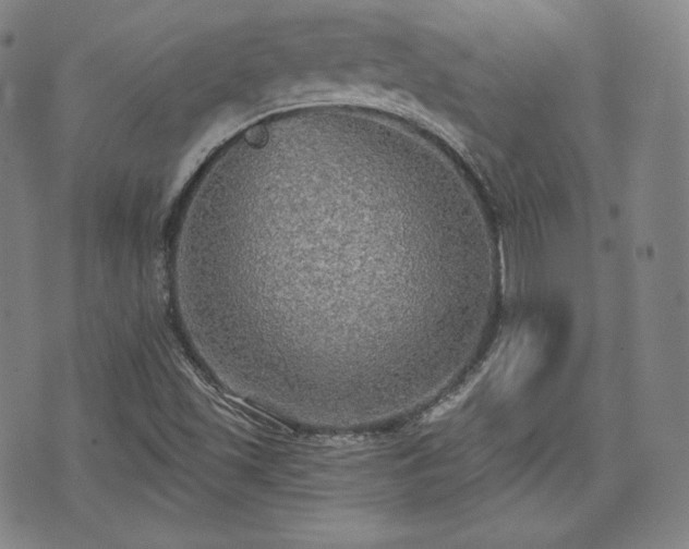 X0000071961501200607141421