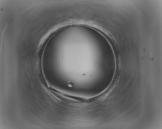 X0000071961502200607141421