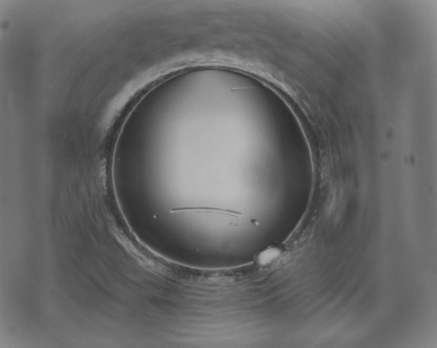 X0000071961503200607141421