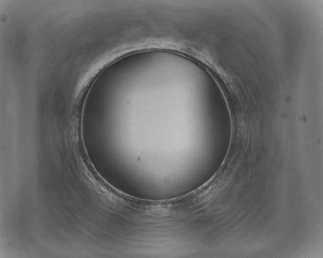 X0000071961504200607141421