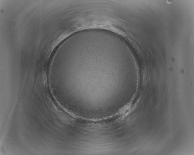 X0000071961505200607141421