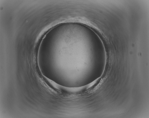 X0000071961506200607141421