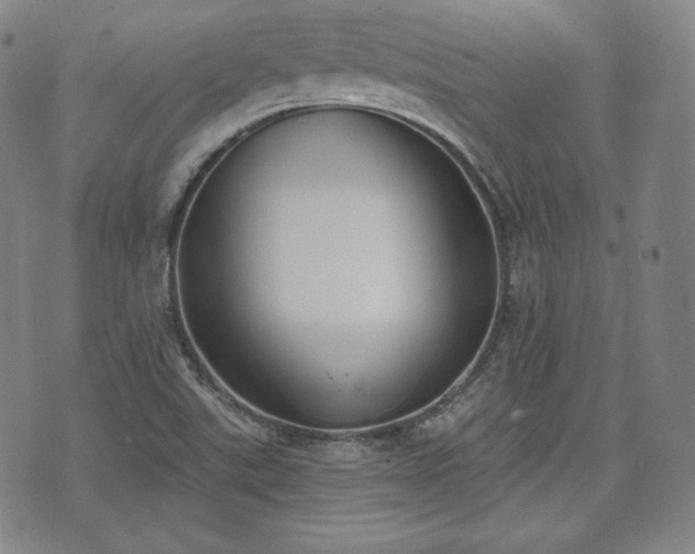 X0000071961507200607141421