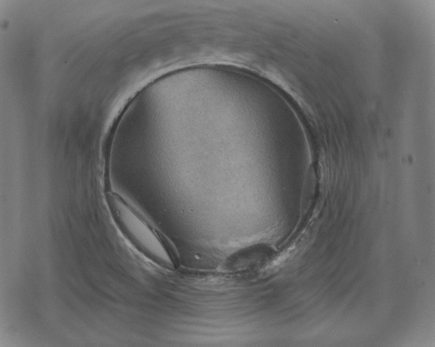 X0000071961508200607141421