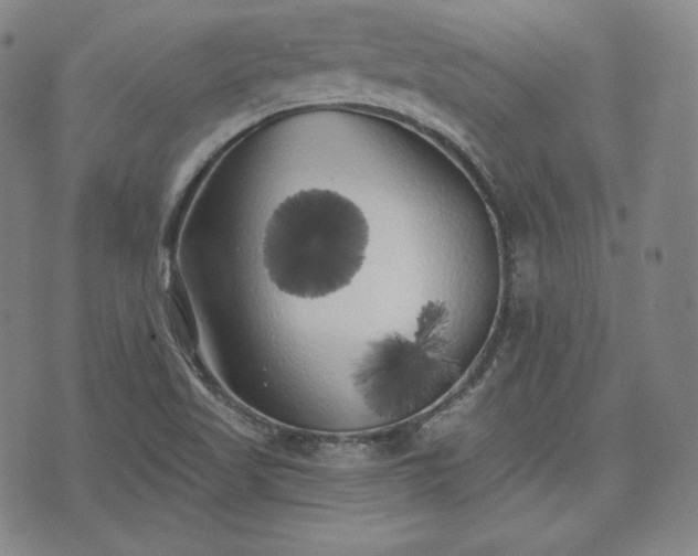 X0000071961509200607141421