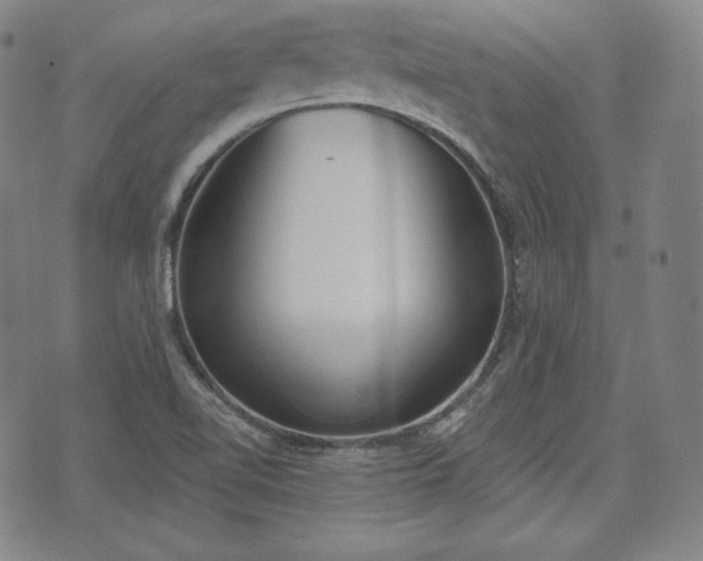 X0000071961510200607141421