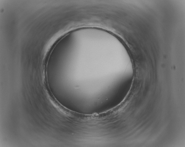 X0000071961511200607141421