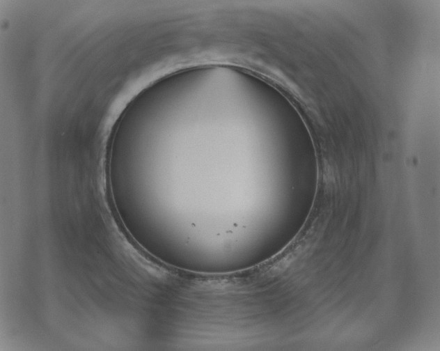 X0000071961512200607141421