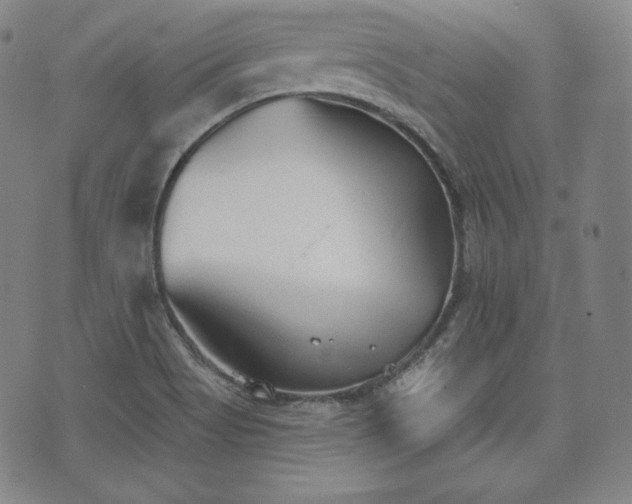 X0000071961513200607141421