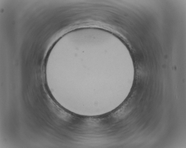 X0000071961514200607141421