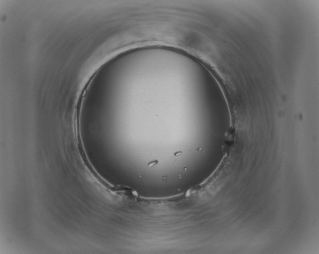 X0000071961516200607141421