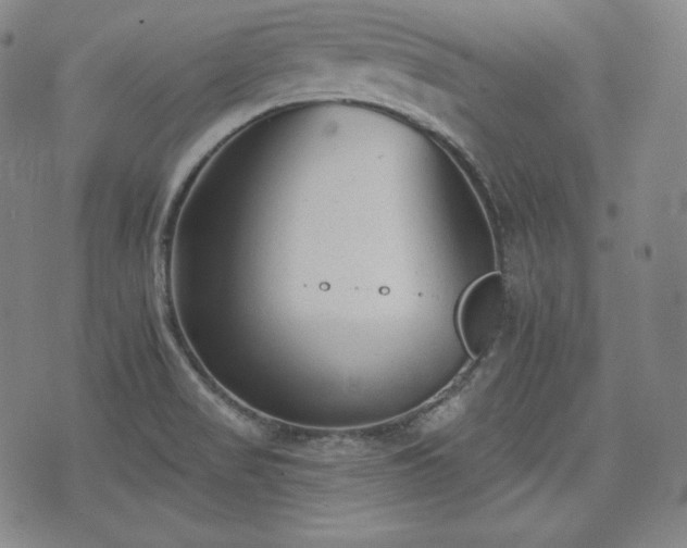 X0000071961517200607141421