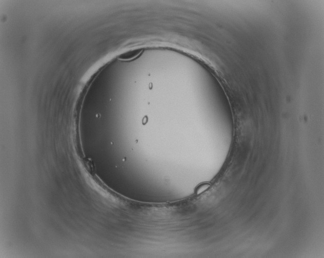 X0000071961518200607141421