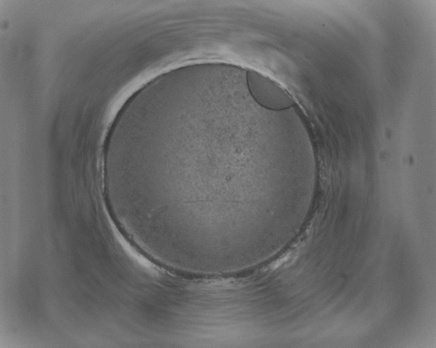 X0000071961519200607141421