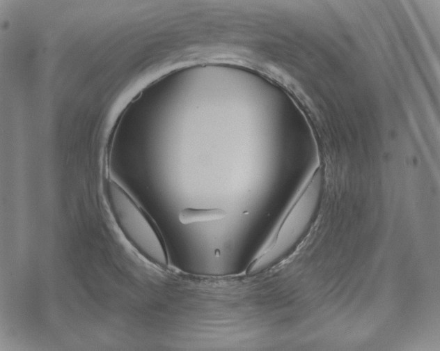 X0000071961520200607141421