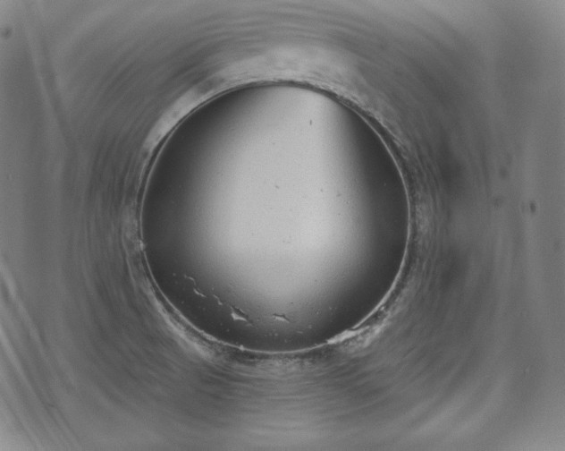 X0000071961521200607141421