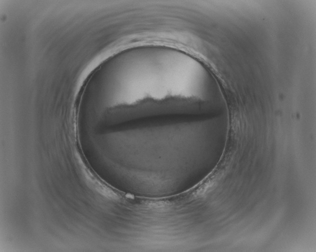 X0000071961522200607141421