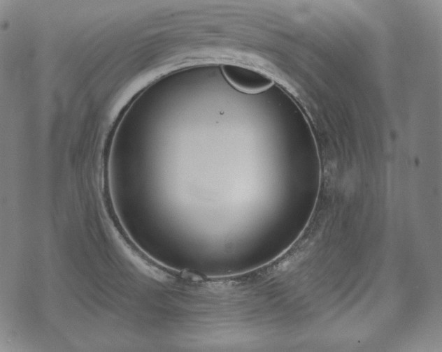 X0000071961523200607141421