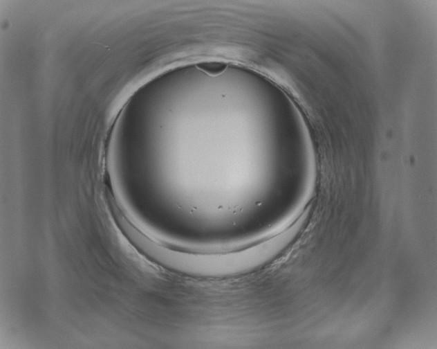 X0000071961524200607141421