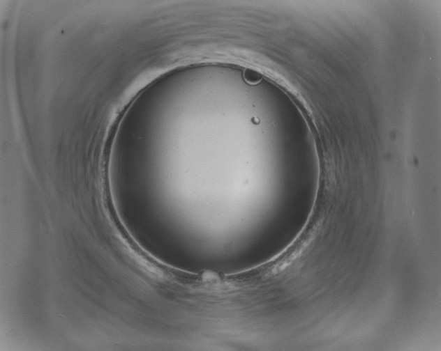 X0000071961525200607141421