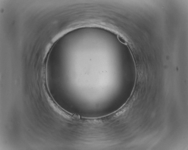 X0000071961526200607141421