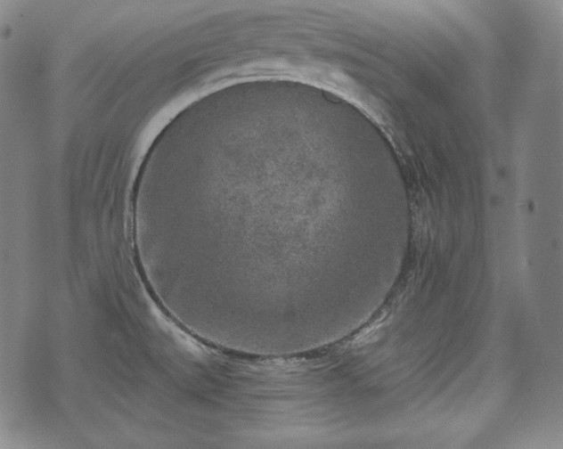 X0000071961527200607141421