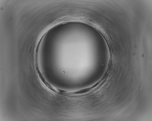 X0000071961528200607141422