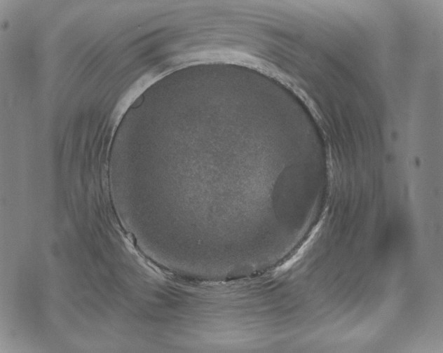 X0000071961529200607141422