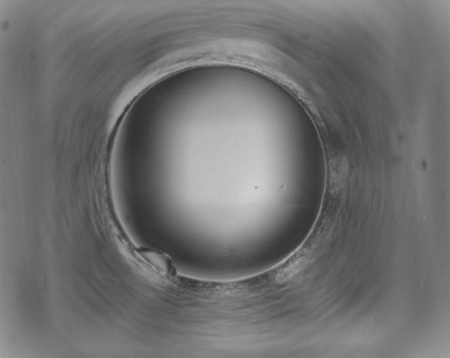 X0000071961530200607141422