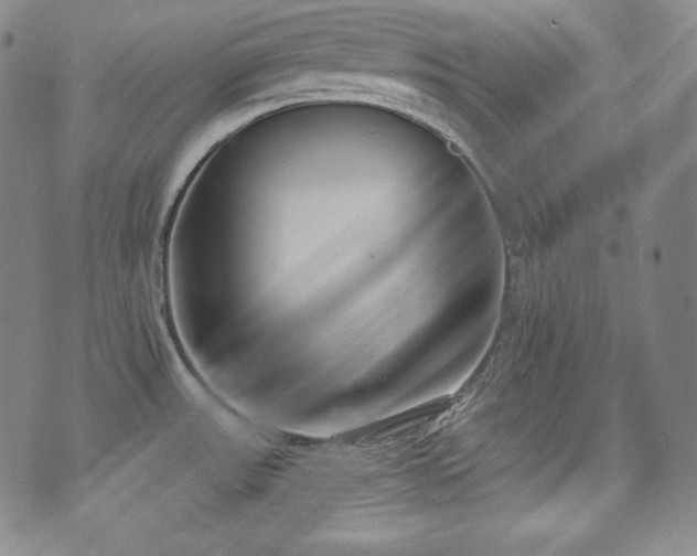 X0000071961531200607141422