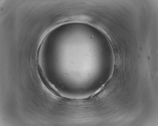 X0000071961532200607141422