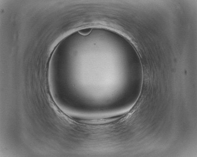 X0000071961534200607141422