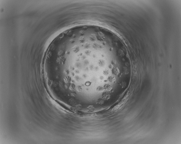 X0000071961535200607141422