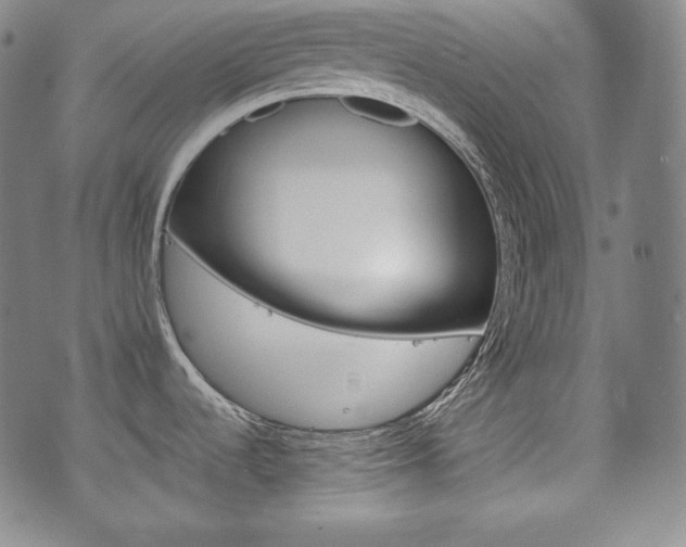 X0000071961536200607141422